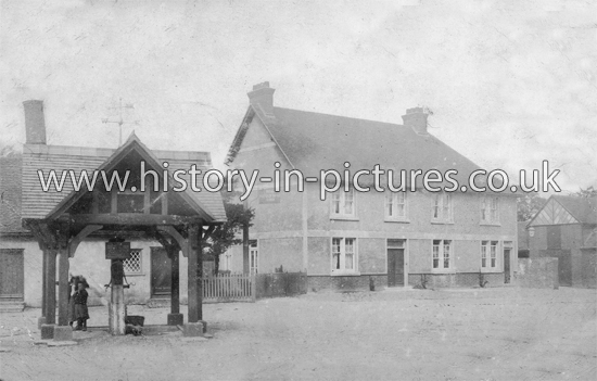 The Green Man and the Temperance Hotel, Toppesfield, Essex. c.1906